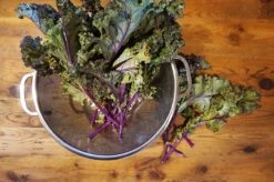 Endurance Precision Pierced Colander -The Kitchen Supply Store PUNCH 5 ls3